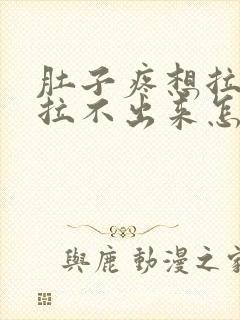 肚子疼想拉屎又拉不出来怎么回事