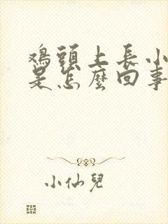 鸡头上长小疙瘩是怎么回事