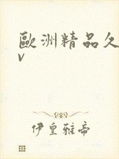 欧洲精品久久av