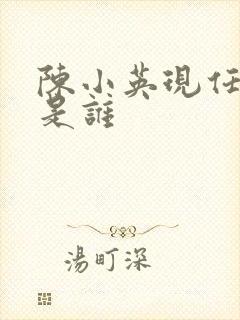 陈小英现任丈夫是谁封面