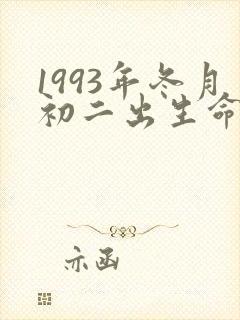 1993年冬月初二出生命运