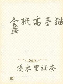 全职高手猫耳网盘