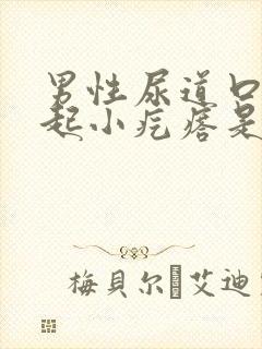 男性尿道口外面起小疙瘩是怎么回事
