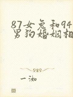 87女兔和94男狗婚姻相配吗
