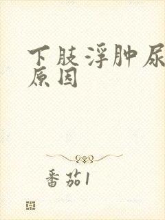 下肢浮肿尿频的原因封面