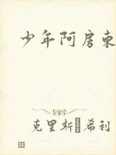 少年阿房东太太