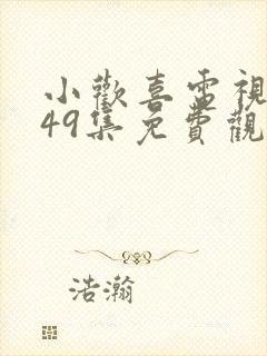 小欢喜电视剧第49集免费观看封面