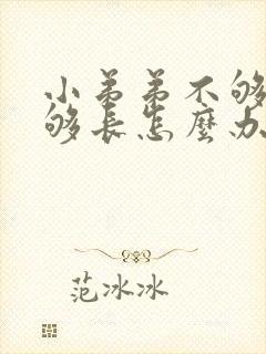 小弟弟不够硬不够长怎么办