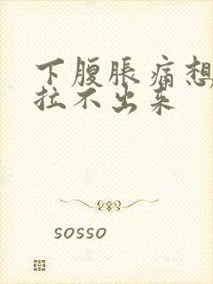 下腹胀痛想大便拉不出来