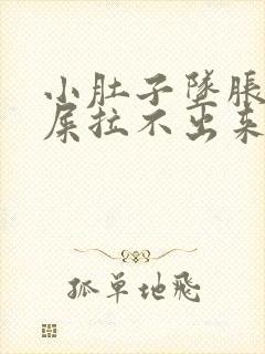 小肚子坠胀想拉屎拉不出来怎么回事封面