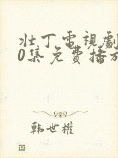 壮丁电视剧全40集免费播放封面