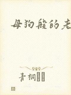 母狗般的老师封面