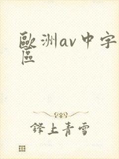 欧洲av中字一区