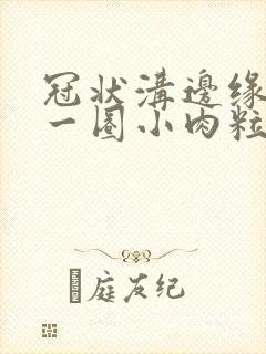 冠状沟边缘长了一圈小肉粒