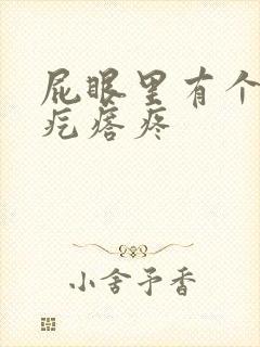 屁眼里有个硬的疙瘩疼