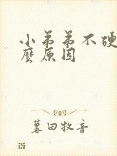 小弟弟不硬是什么原因