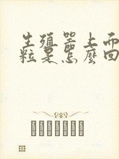 生殖器上面小肉粒是怎么回事