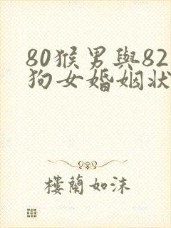 80猴男与82狗女婚姻状况封面
