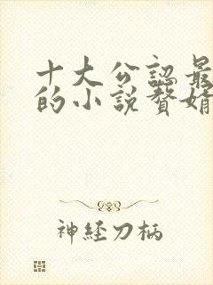 十大公认最好看的小说赘婿封面