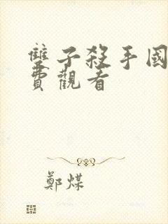 双子杀手国语免费观看