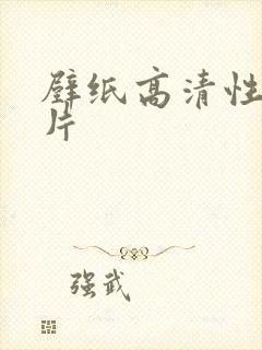 壁纸高清性感图片