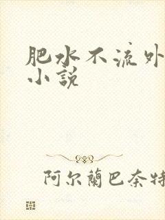 肥水不流外人田小说