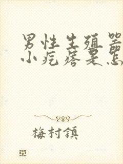 男性生殖器上有小疙瘩是怎么回事啊封面