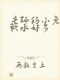 老师的小兔子好软水好多封面