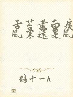 舌苔黄白痰 是风寒还是风热