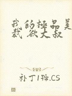 我的极品美女总裁 欲大叔