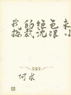 我的绝色未婚妻总裁沈浪 小说