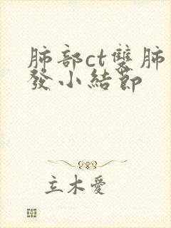 肺部ct双肺多发小结节