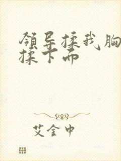 领导揉我胸亲奶揉下面