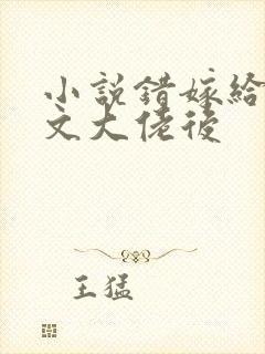 小说错嫁给年代文大佬后