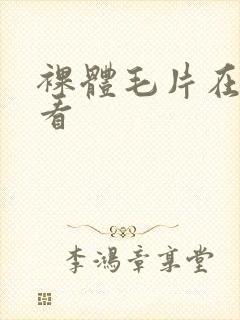 裸体毛片在线观看封面