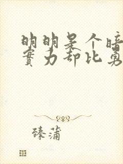 明明是个暗杀者实力却比勇者还强动漫