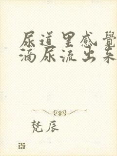 尿道里感觉有几滴尿流出来封面