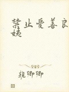 禁止爱善良的小姨