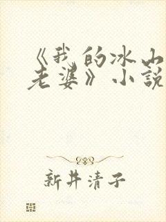 《我的冰山美女老婆》小说
