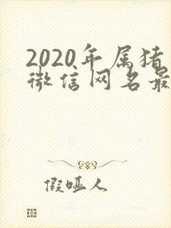 2020年属猪微信网名最旺财