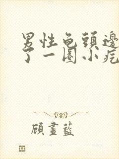 男性龟头边缘长了一圈小疙瘩