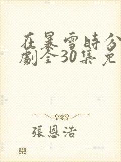 在暴雪时分电视剧全30集免费观看