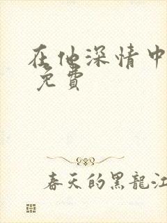 在他深情中陨落 免费