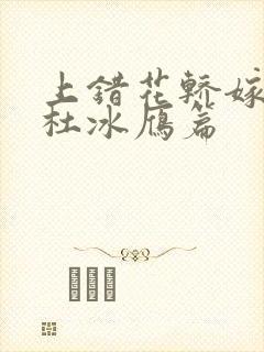 上错花轿嫁对郎杜冰雁篇封面