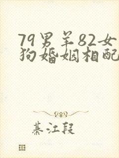 79男羊82女狗婚姻相配好吗