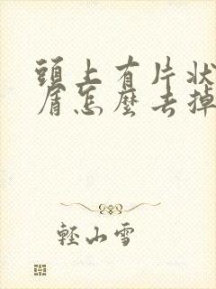 头上有片状头皮屑怎么去掉封面