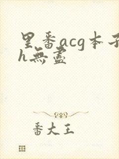 里番acg本子h无尽