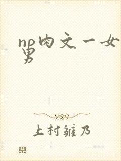 np肉文一女多男
