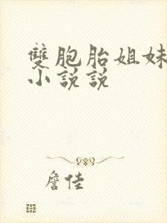 双胞胎姐妹许多小说说