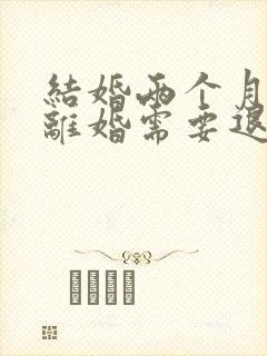 结婚两个月家暴离婚需要退彩礼吗封面